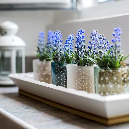 Nona Lena Studio Apartment *